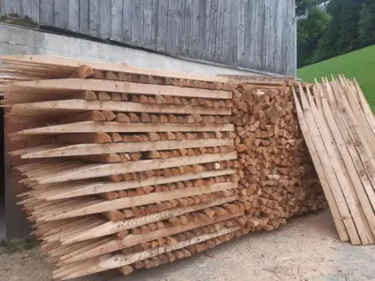 Haagsäulen, Lärchenstipfel, Zaunsteher, Baumschutz