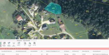 850 m² Wald in Bad Goisern