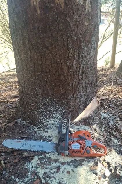 Husqvarna 560 XPG