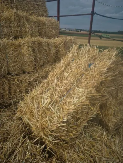 Strohballen