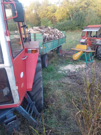Brennholz Eiche zu verkaufen