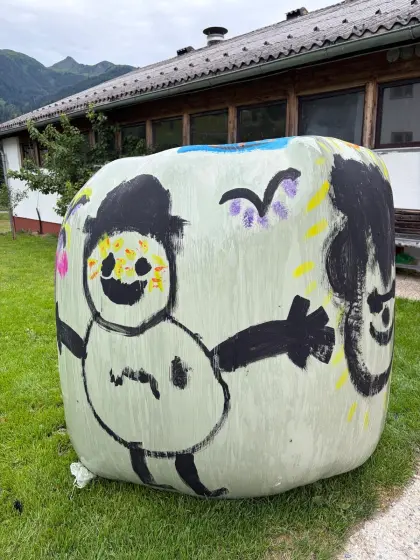 Suche Silo und Stroh mit Zustellung 5.660