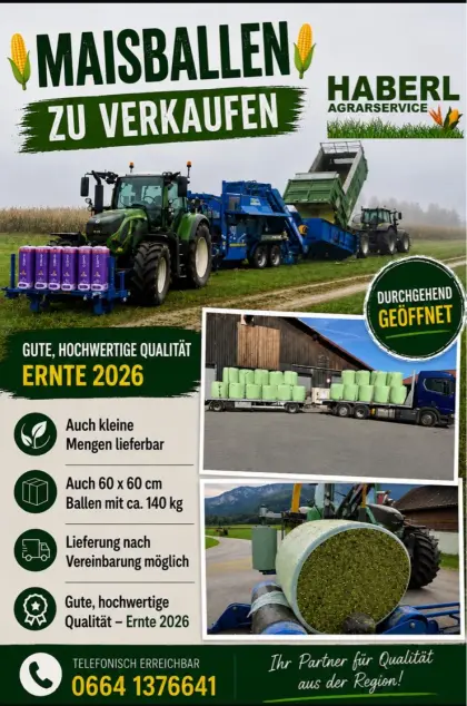 Maissilageballen