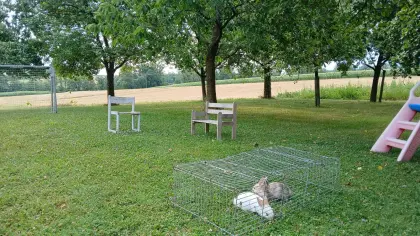 Geschwisterpärchen