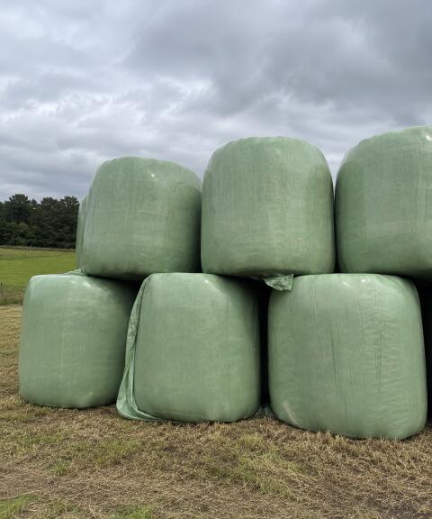 Silageballen, Heuballen, Strohballen