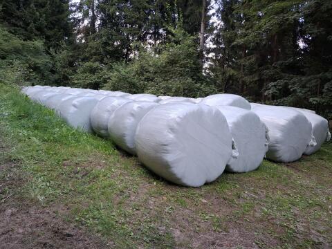 Siloballen zu verkaufen
