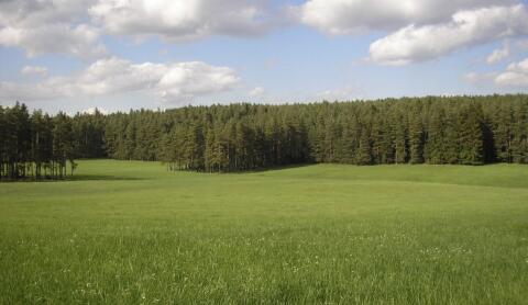 Suche Pachtflächen in Graz Umgebung