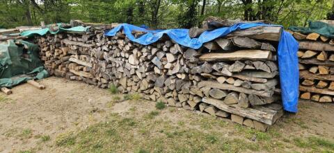 Brennholz