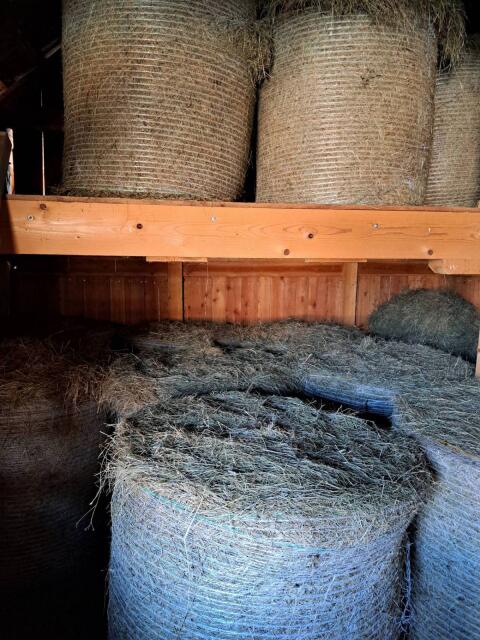 Bio-Heu