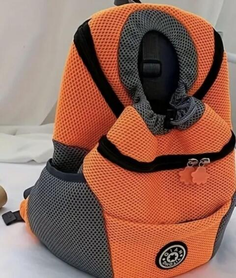 Rucksack für einen kleinen Hund