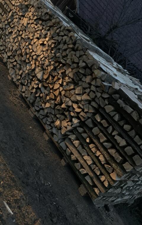 Brennholz