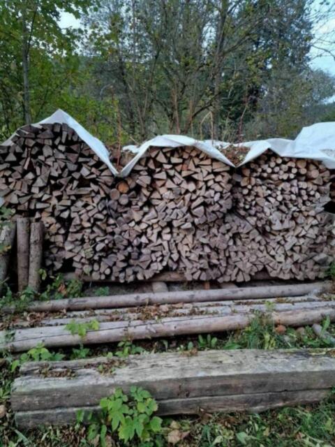 Brennholz