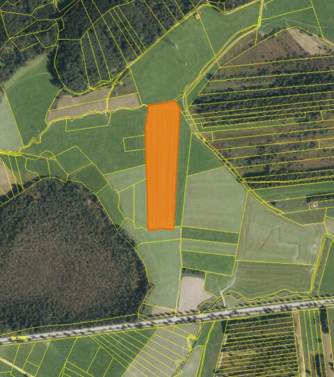 2,5 ha Grünland, Allgäu, Gemarkung Rauhenzell, Flurstück 332/0