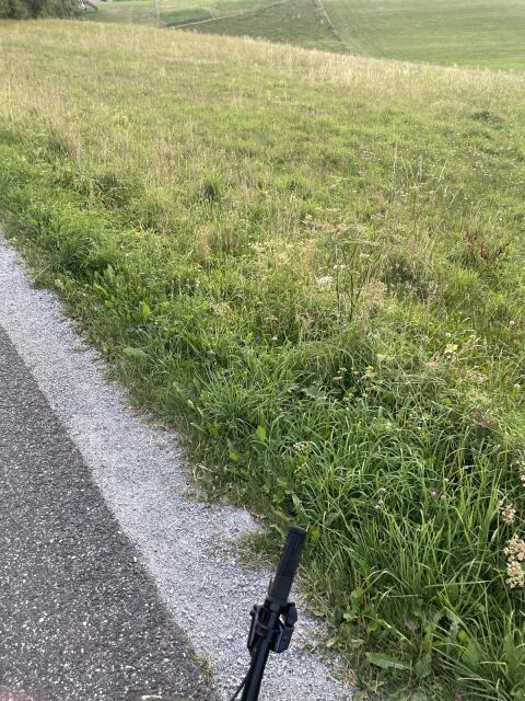 Heu, Silage, Bio