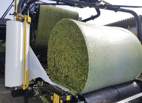 Verkaufe Silo-Mais-Ballen von 2026