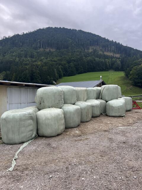 Suche Siloballen