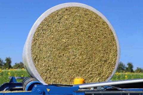 Maissilageballen