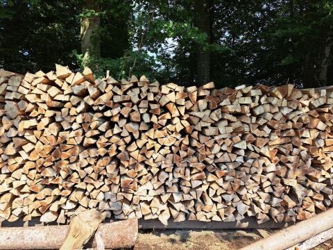 Buchen-Brennholz