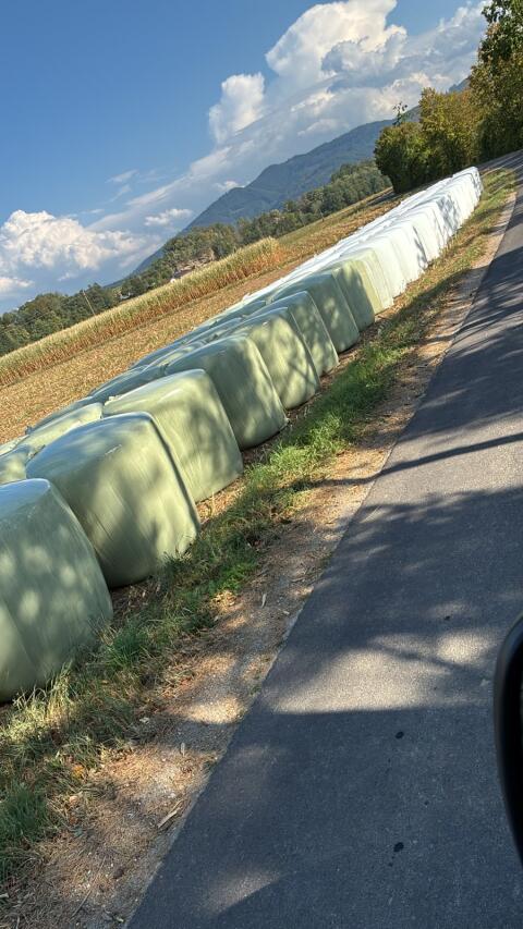 Maisrundballen ab Feld
