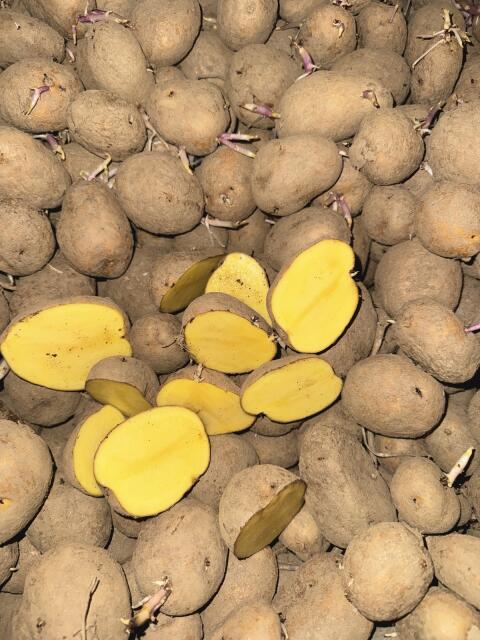 Kartoffeln