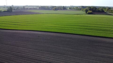 Pachtgrund