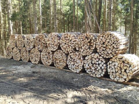 Brennholz