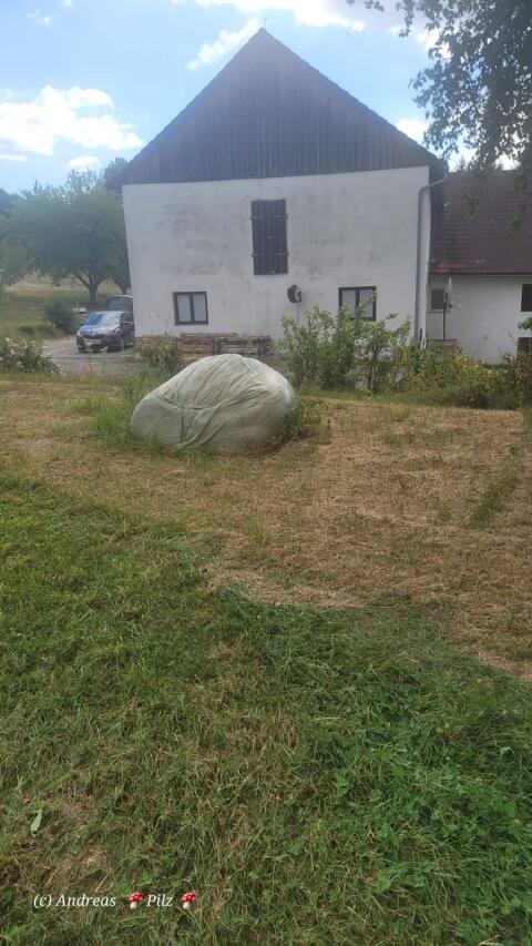 Suche Siloballen, Silageballen, Heu