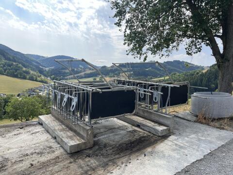 Felder Kälberaufstallung