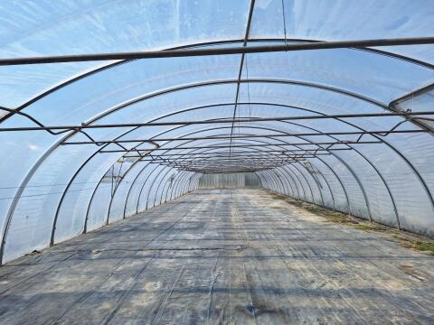 2 Stk. Profi Fiala Folientunnel, Gewächshaus 8 x 39 m