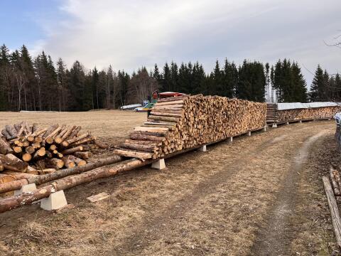 Brennholz, Scheitholz, ofenfertig