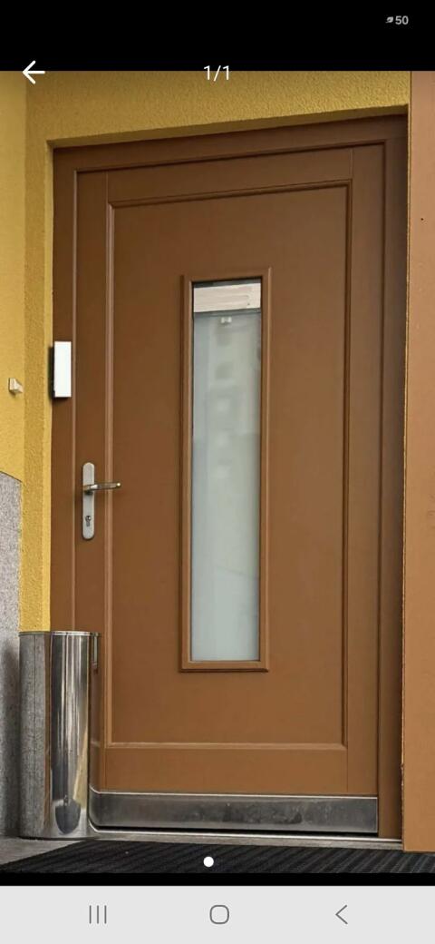 Haustür mit Stock 212 x 110 x 7 cm