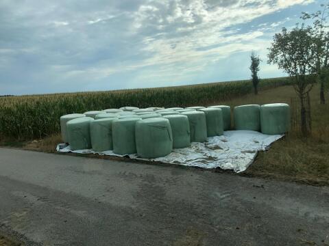 Maissilage