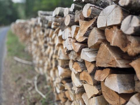 Brennholz