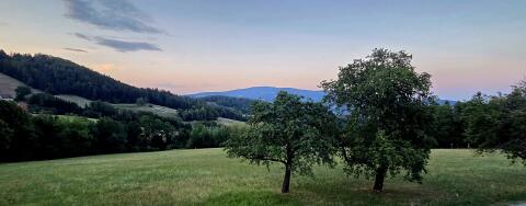 Nutzungsüberlassung von 7 ha Grünland