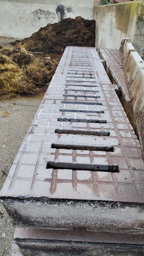 Betonspalten Rinder