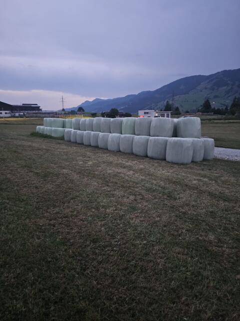 Silageballen, 3. Schnitt