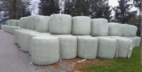 Suche Siloballen, Silageballen, Heu
