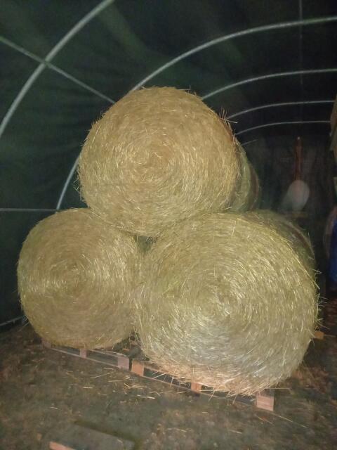 Stroh-Rundballen