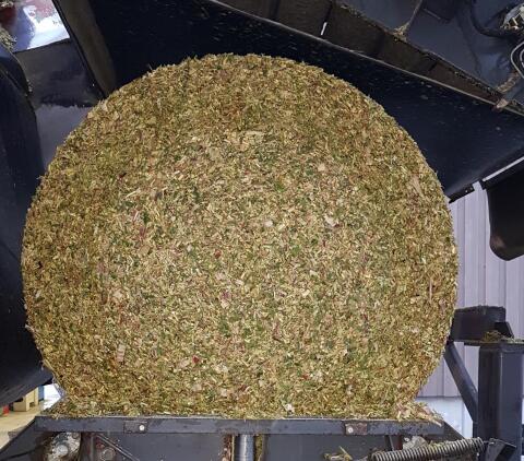 Maissilageballen mit Kolbenanteil