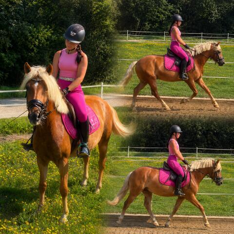 Bildhübscher Haflinger Wallach Spirit