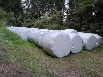 Siloballen zu verkaufen