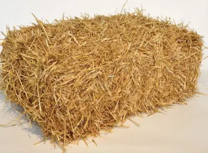Suche Stroh Kleinballen