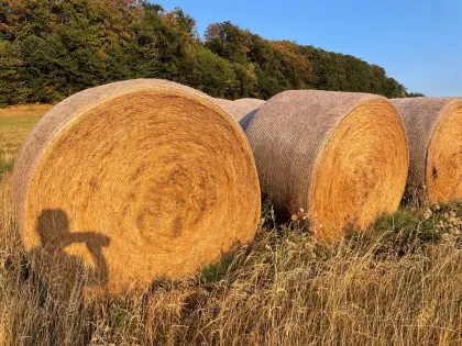 Verkauf 25 Heuballen