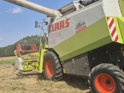 Bio-Roggen Bio Austria Zertifikat
