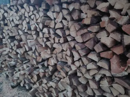 Brennholz