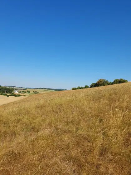 Biodiversitätsfläche