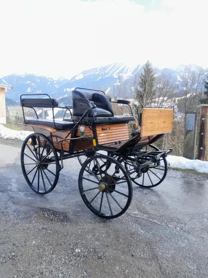 Kutsche
