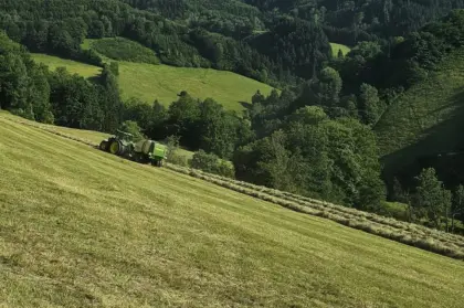 Heuballen 1. Schnitt