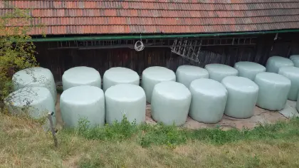 Suche Silageballen oder Heurundballen