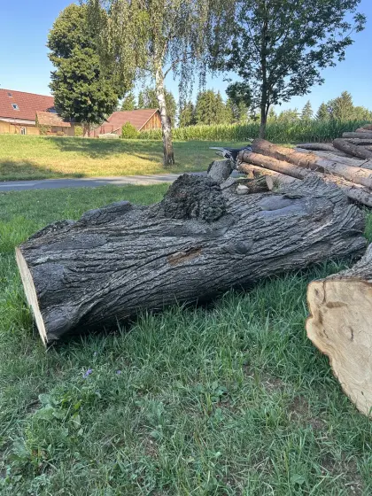 Lindenblock